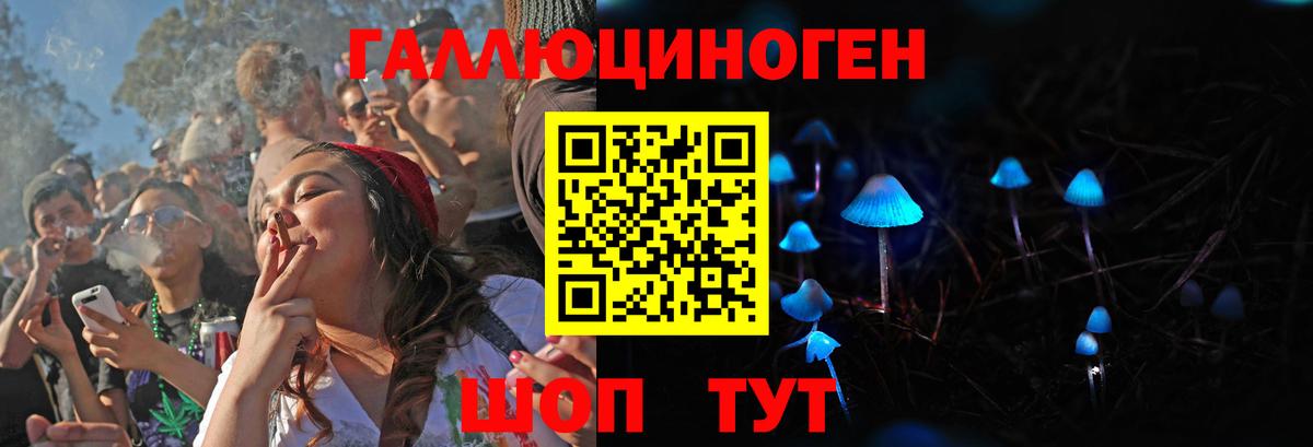 Псилоцибиновые грибы прущие грибы  Вход с VPN  Пугачёв  Псилоцибиновые грибы MAGIC MUSHROOMS 