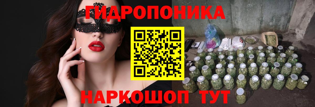 Бошки Шишки гибрид Пугачёв